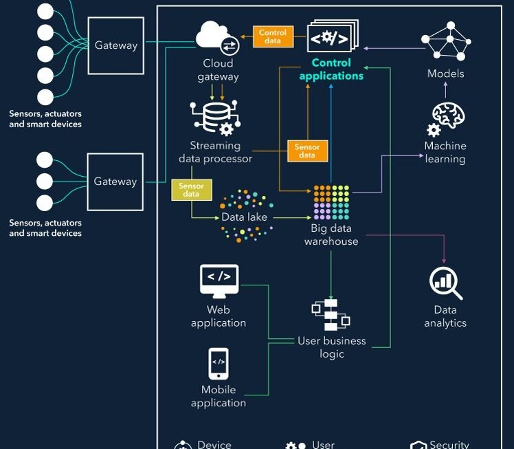 Custom AI Software Development